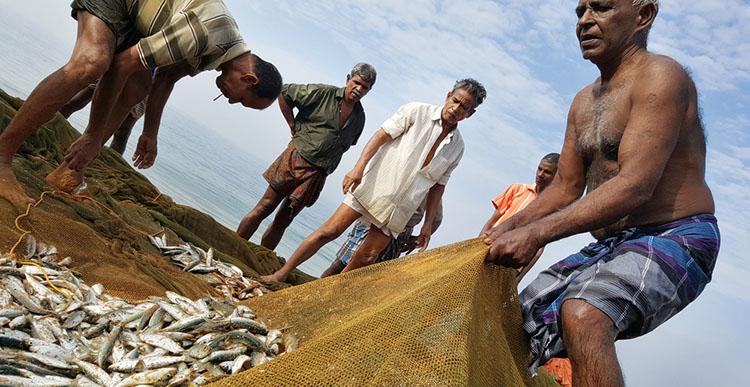 Pescadores tiram toneladas de plástico do mar e transformam material em asfalto -0